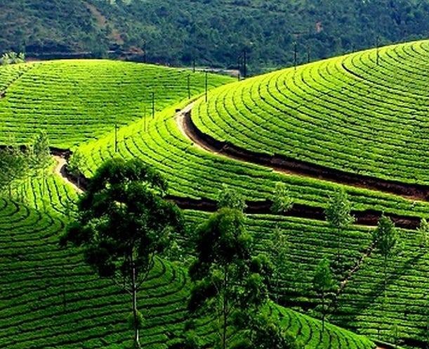 Kerala