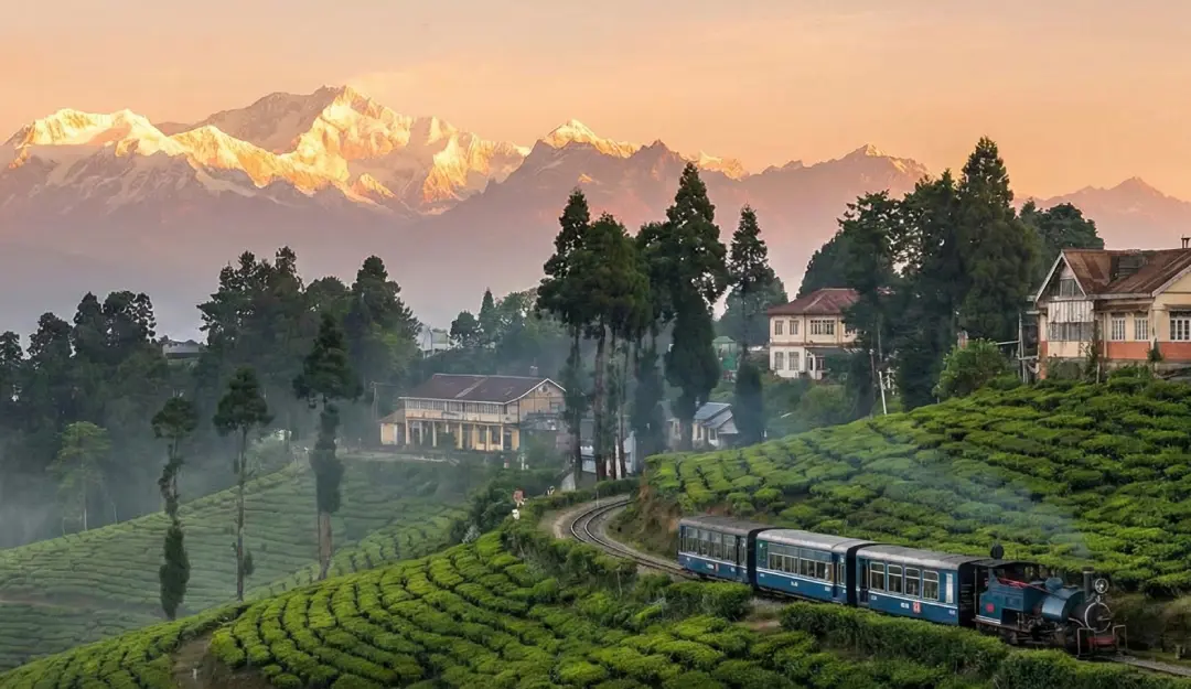 Darjeeling & Gangtok