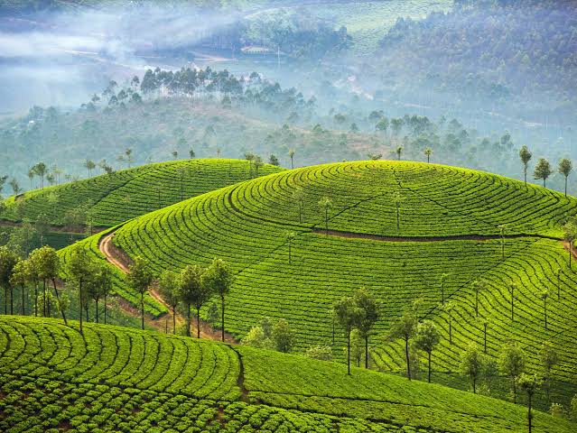 Kerala